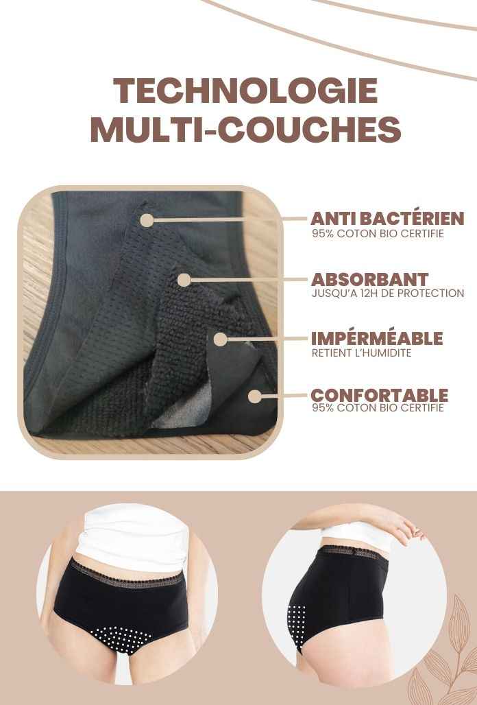 LOT de 2 - Culottes Hautes COTON BIO