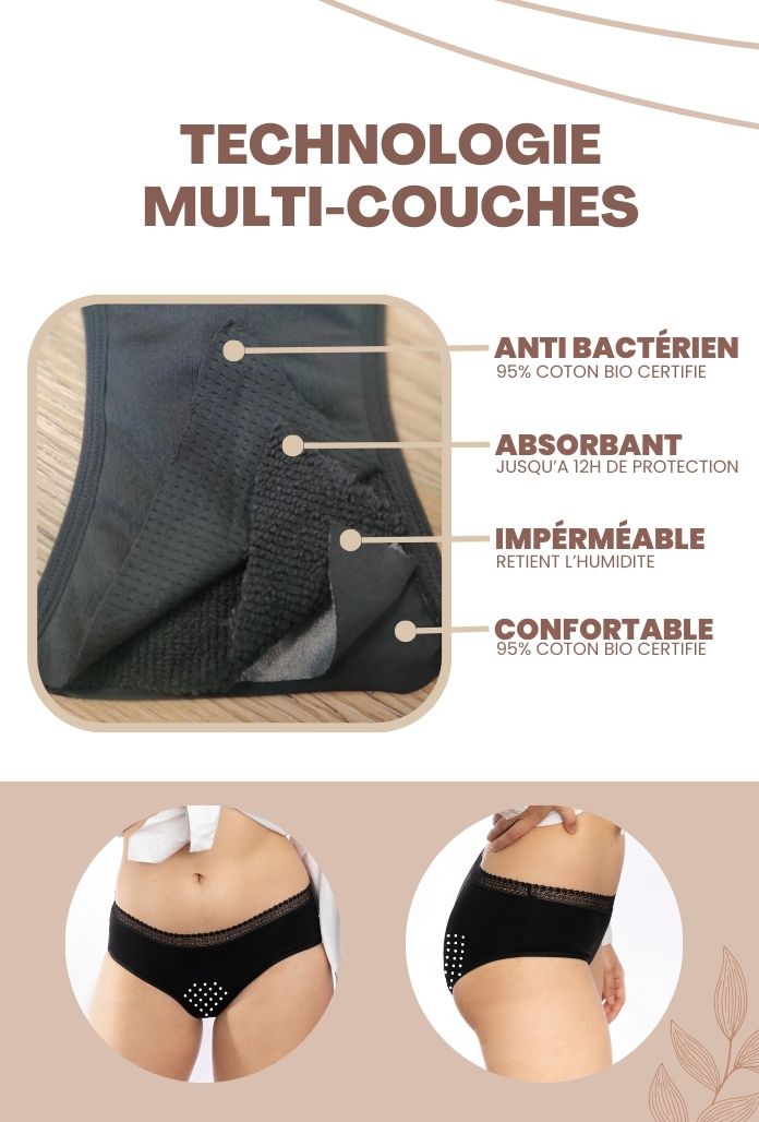 ECO PACK / LOT de 3 - Culottes Basses COTON BIO